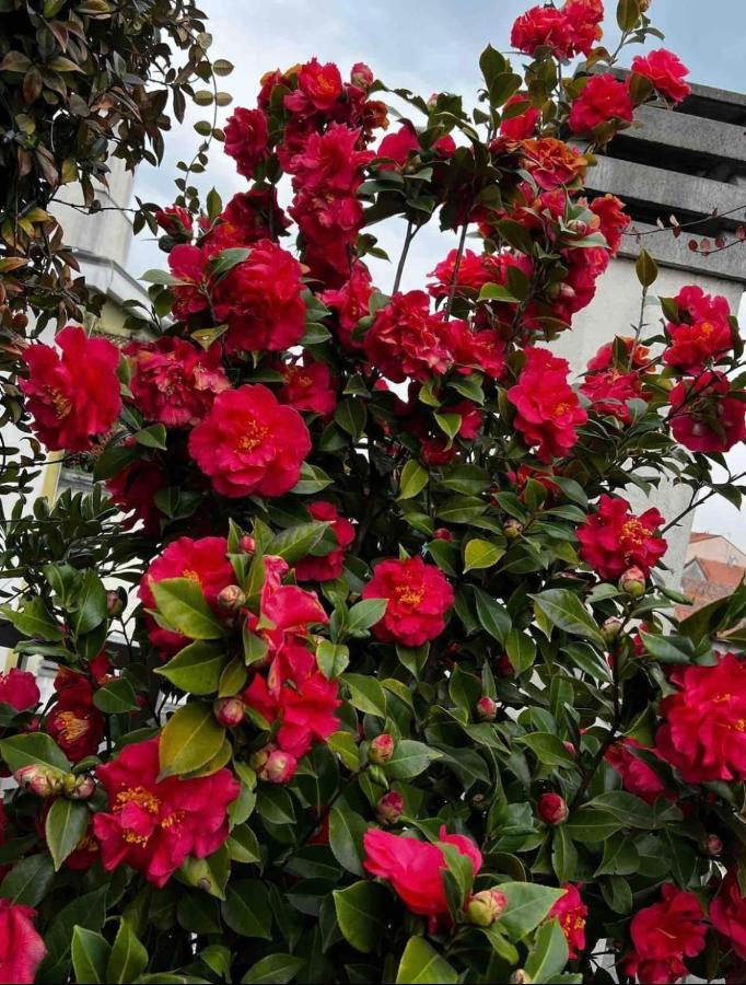 Giresio 41 - Your Penthouse With Rooftop Garden In Milano Navigli - Wifi Exterior foto